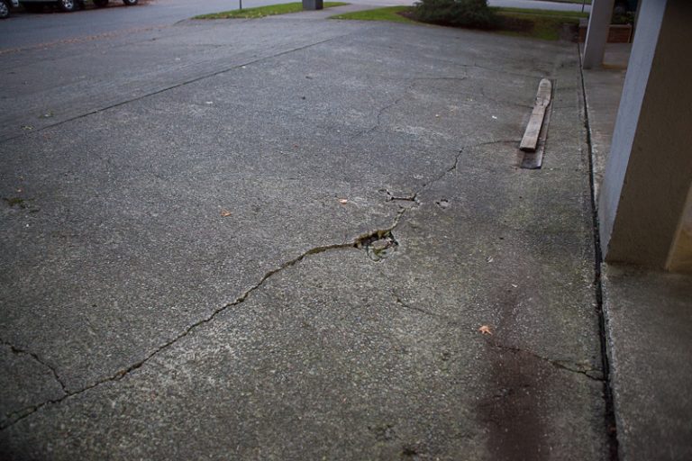 crack in an old parking lot